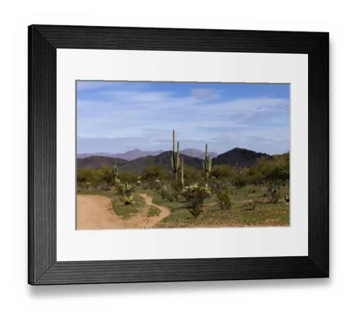 Framed Print : Tucson, Arizona, United States. White Stallion Dude Ranch