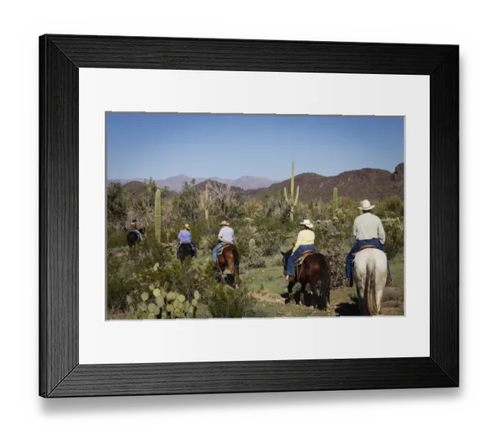 Framed Print : Tucson, Arizona, United States. White Stallion Dude Ranch