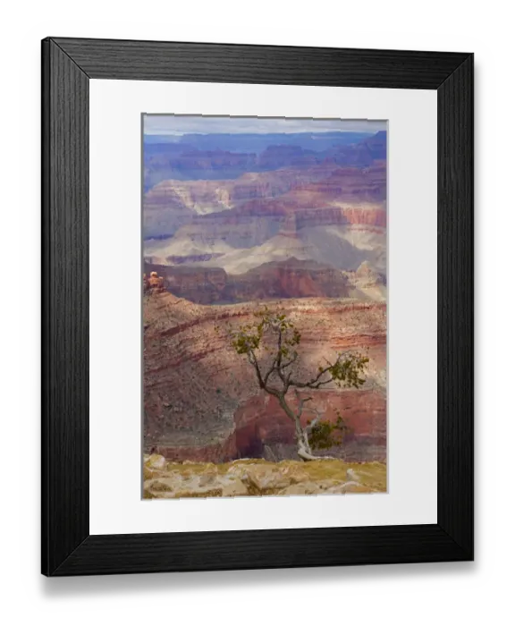 Framed Print : Arizona, Grand Canyon National Park, South Rim