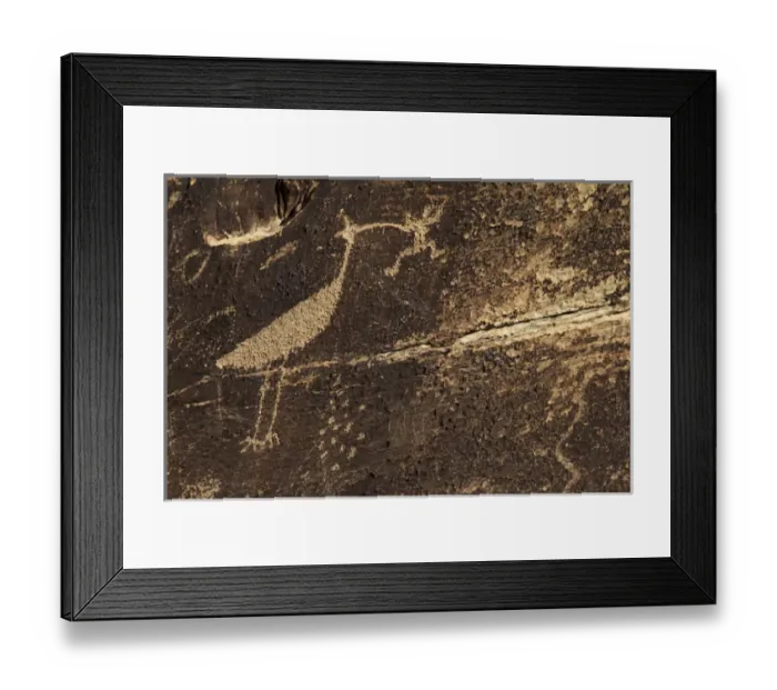 Framed Print : North America, USA, Arizona, Petrified Forest. Petroglyphs near Puerco Pueblo