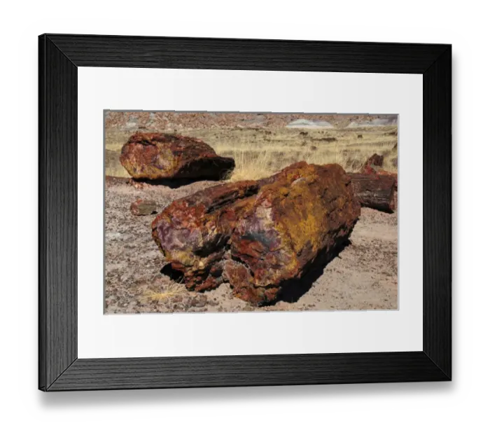 Framed Print : Logs, Petrified Forest National Park, Arizona, USA Framed Print : Logs, Petrified Forest National Park, Arizona, USA