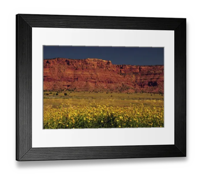 Framed Print : Vermillion Cliffs and Field of Yellow Flowers, Arizon; USA