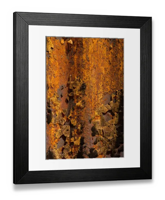 Framed Print : USA, Arizona, Tucson, Texture Framed Print : USA, Arizona, Tucson, Texture