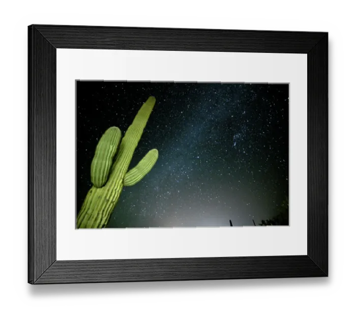 Framed Print : Star filled night sky with saguaro cactus over Organ Pipe Cactus National Monument Framed Print : Star filled night sky with saguaro cactus over Organ Pipe Cactus National Monument
