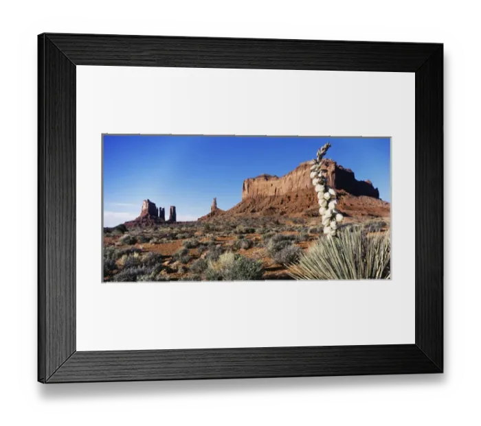 Framed Print : USA, Arizona, Monument Valley, Monument Valley Tribal Park, View of yucca plant with