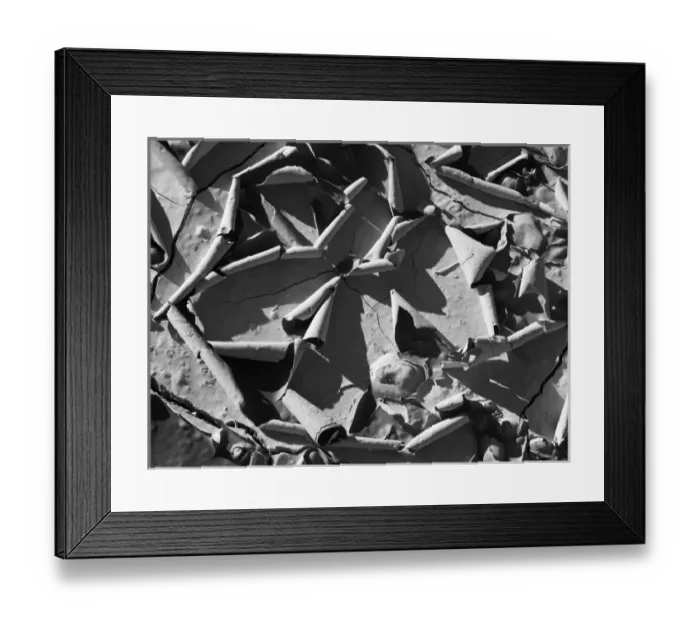 Framed Print : USA, California, Death Valley National Park, Close-up image of drying, curling mud Framed Print : USA, California, Death Valley National Park, Close-up image of drying, curling mud