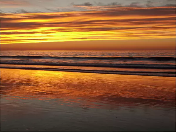 USA, California, La Jolla, Sunset reflected on beach at La Jolla Shores