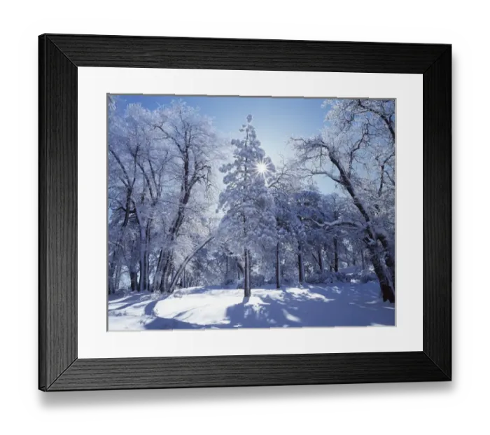 Framed Print : CTF-1028. USA, California, Cleveland National Forest