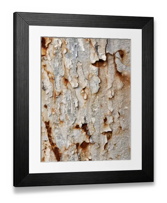 Framed Print : USA, California, Campo, Abstract of peeling paint and rust Framed Print : USA, California, Campo, Abstract of peeling paint and rust