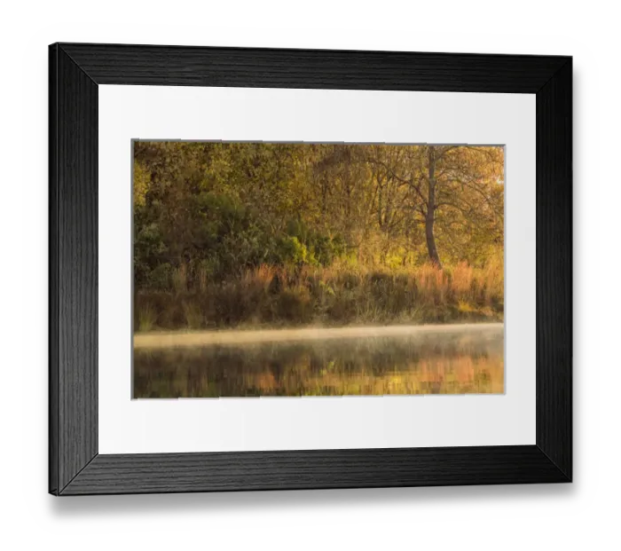 Framed Print : Morning view of American River shoreline and reflection of fall colors from a kayak Framed Print : Morning view of American River shoreline and reflection of fall colors from a kayak