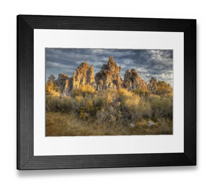 Framed Print : USA, California, Mono Lake. Sunrise on tufas and grass Framed Print : USA, California, Mono Lake. Sunrise on tufas and grass