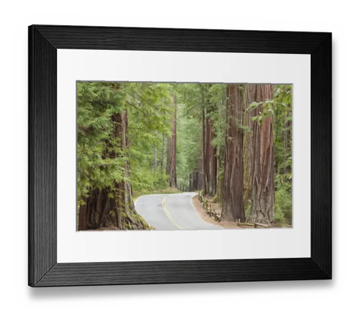 Framed Print : USA, California. View of road through redwoods in Big Basin Redwoods State Park. Credit as Framed Print : USA, California. View of road through redwoods in Big Basin Redwoods State Park. Credit as
