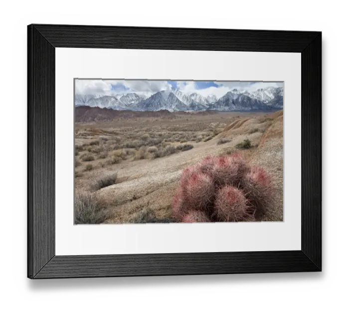 Framed Print : USA, California, Lone Pine. View of the Alabama Hills and the Sierra Mountains. Credit as Framed Print : USA, California, Lone Pine. View of the Alabama Hills and the Sierra Mountains. Credit as