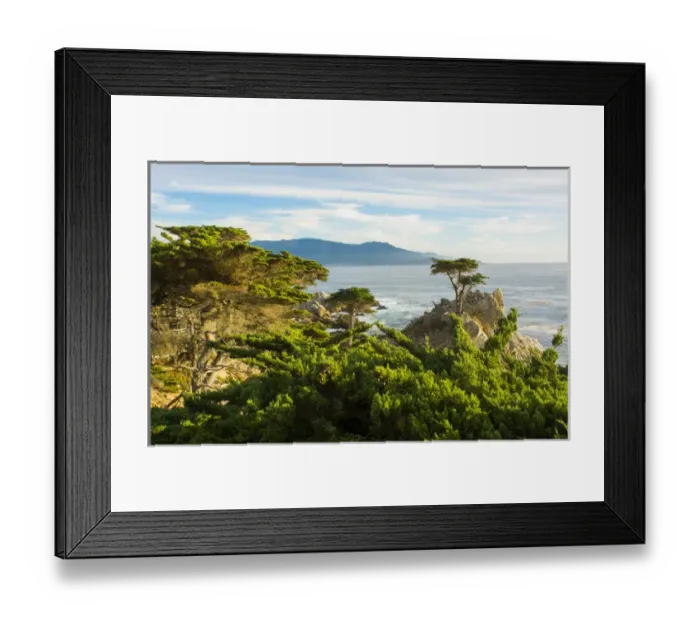Framed Print : Pebble Beach California famous Lone Elm cypress tree and ocean on 17-mile drive one Framed Print : Pebble Beach California famous Lone Elm cypress tree and ocean on 17-mile drive one