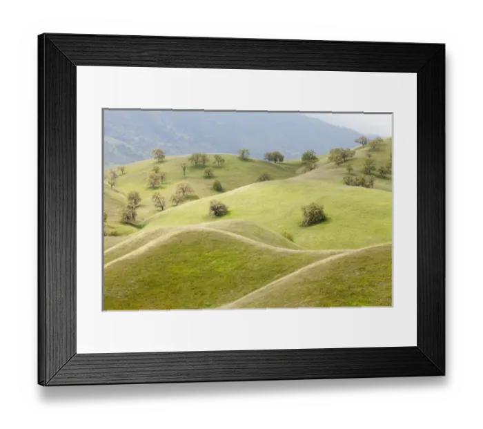 Framed Print : USA, California, Caliente. Spring landscape of smooth, grassy hills and oak trees Framed Print : USA, California, Caliente. Spring landscape of smooth, grassy hills and oak trees