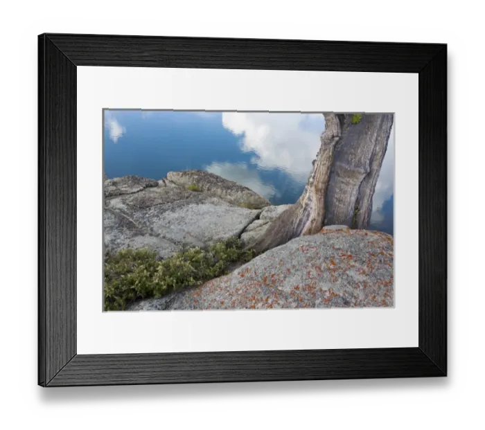 Framed Print : USA, California, Toiyabe National Forest. Rocks and tree on shore of Granite Lake Framed Print : USA, California, Toiyabe National Forest. Rocks and tree on shore of Granite Lake