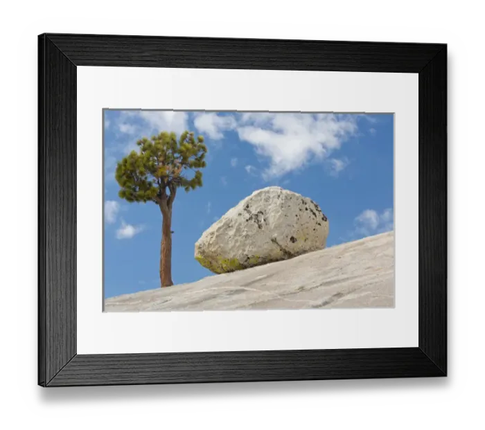 Framed Print : USA, California, Yosemite National Park. Pine tree and boulder Framed Print : USA, California, Yosemite National Park. Pine tree and boulder