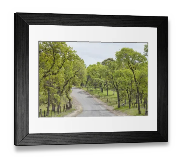 Framed Print : USA, California, Chinese Camp. Old Don Pedro Road in sylvan landscape. Credit as Framed Print : USA, California, Chinese Camp. Old Don Pedro Road in sylvan landscape. Credit as