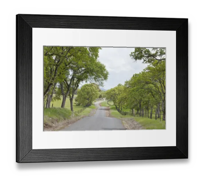 Framed Print : USA, California, Chinese Camp. Old Don Pedro Road in sylvan landscape. Credit as