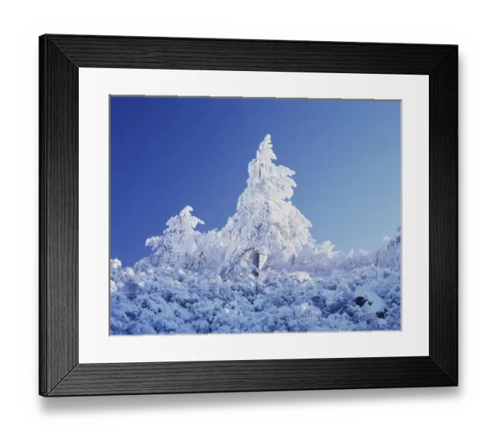 Framed Print : CTF-1026. USA, California, Cleveland National Forest Framed Print : CTF-1026. USA, California, Cleveland National Forest