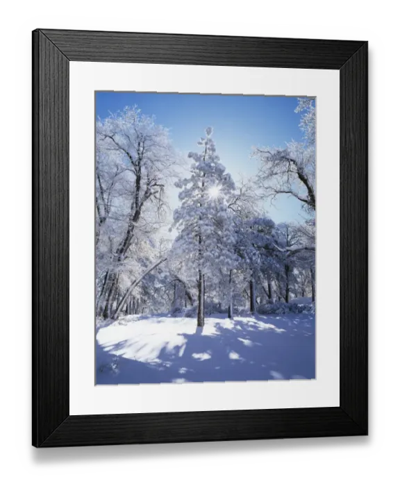 Framed Print : CTF-0417. USA, California, Cleveland National Forest Framed Print : CTF-0417. USA, California, Cleveland National Forest