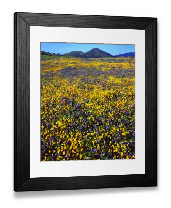 Framed Print : USA, California, Cuyamaca Rancho State Park, San Diego Framed Print : USA, California, Cuyamaca Rancho State Park, San Diego