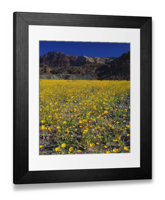 Framed Print : USA, California, Death Valley National Park Framed Print : USA, California, Death Valley National Park