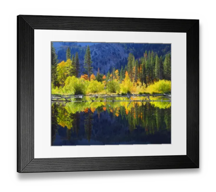 Framed Print : USA; California; Fall colors reflecting in A beaver pond in the Sierra Nevada Mountains Framed Print : USA; California; Fall colors reflecting in A beaver pond in the Sierra Nevada Mountains