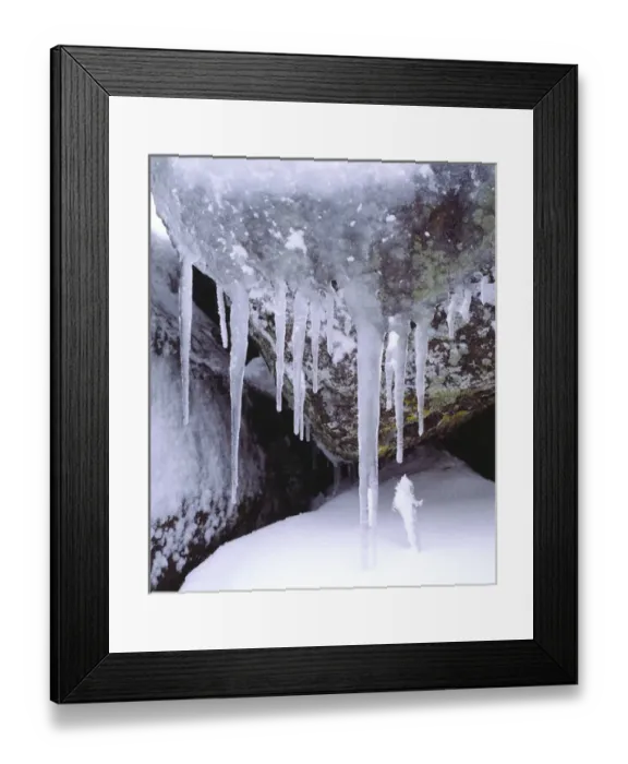 Framed Print : USA, California, Icicles in the Cleveland National Forest Framed Print : USA, California, Icicles in the Cleveland National Forest