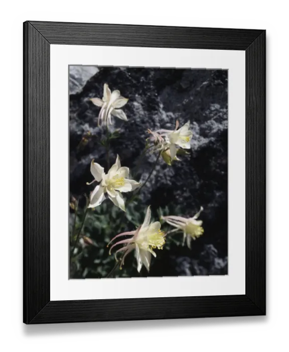Framed Print : CTF-0812. USA, California, Sierra Nevada Mountains Framed Print : CTF-0812. USA, California, Sierra Nevada Mountains