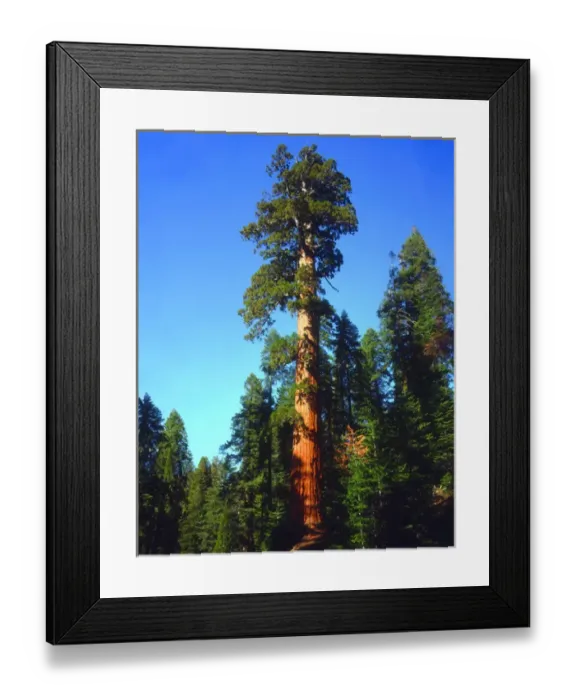 Framed Print : USA; California; Sierra Nevada Mountains