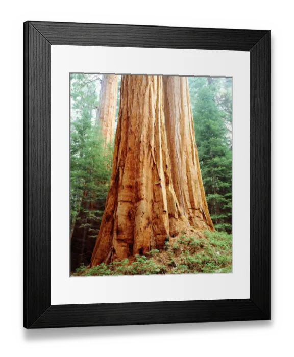 Framed Print : USA; California; Sierra Nevada Mountains Framed Print : USA; California; Sierra Nevada Mountains