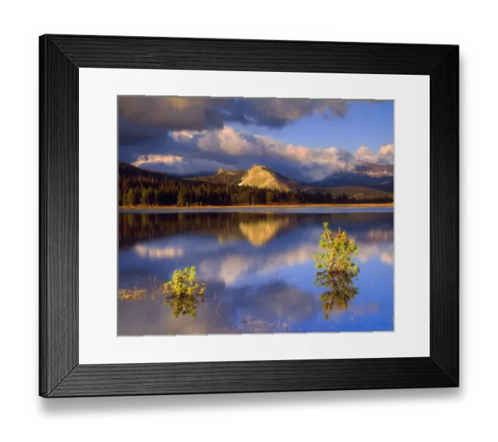 Framed Print : USA, California, Sierra Nevada Mountains. ALembert Dome reflecting in a flooded Tuolumne River Framed Print : USA, California, Sierra Nevada Mountains. ALembert Dome reflecting in a flooded Tuolumne River
