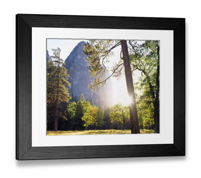 Framed Print : USA; California; Yosemite National Park; Sunset through the forest in Yosemite