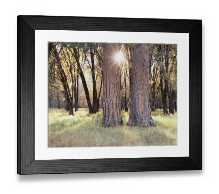 Framed Print : CTF-092. USA, California, Yosemite National Park Framed Print : CTF-092. USA, California, Yosemite National Park