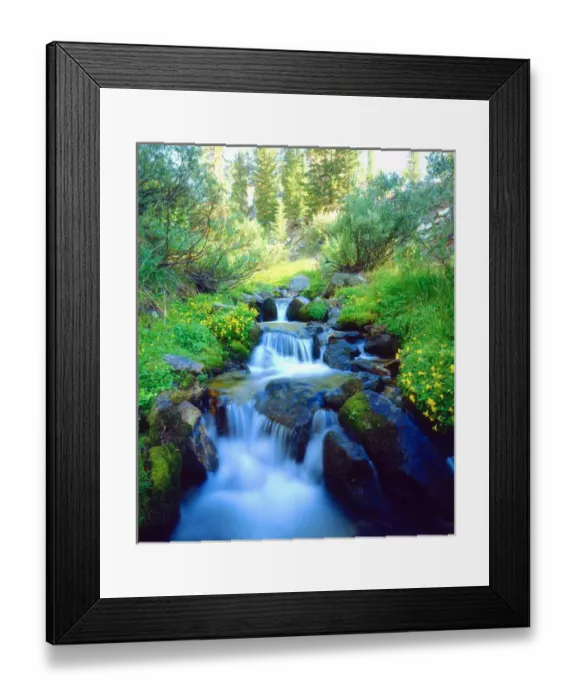 Framed Print : USA, California, Sky Meadows in the Sierra Nevada Mountains, CA Framed Print : USA, California, Sky Meadows in the Sierra Nevada Mountains, CA