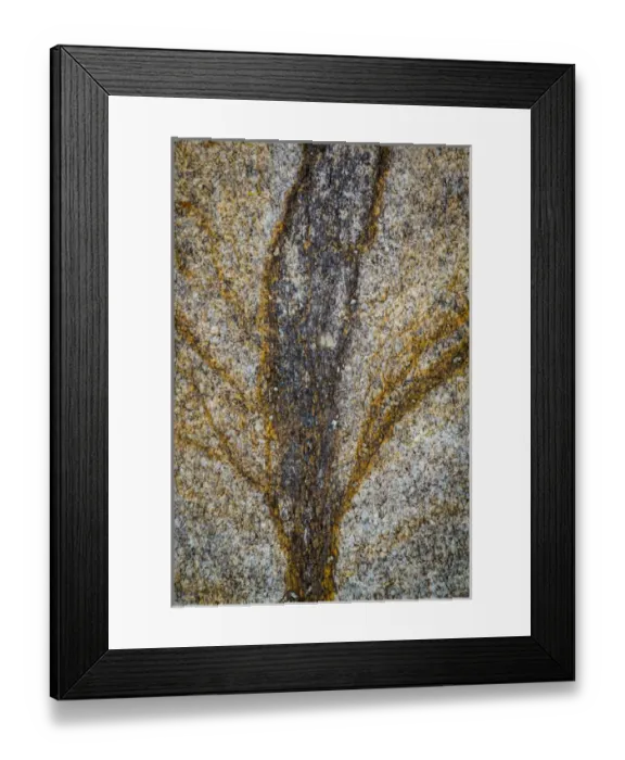 Framed Print : USA, California, Alabama Hills. Close-up of rock stain Framed Print : USA, California, Alabama Hills. Close-up of rock stain