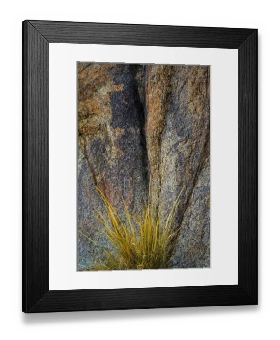 Framed Print : USA, California, Alabama Hills. Close-up of rock face and grass Framed Print : USA, California, Alabama Hills. Close-up of rock face and grass