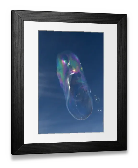 Framed Print : USA, California, La Jolla. Floating bubble