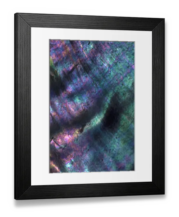 Framed Print : USA, California. Abalone shell close-up. Credit as: Christopher Talbot Frank  /  Jaynes