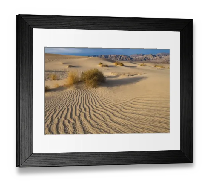 Framed Print : Sweeping vista of dunes, Death Valley National Park, California Framed Print : Sweeping vista of dunes, Death Valley National Park, California