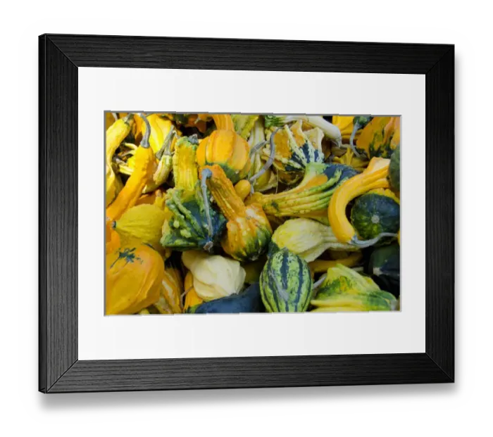 Framed Print : California fruit stand Autumn harvest. Ornamental Winged gourds