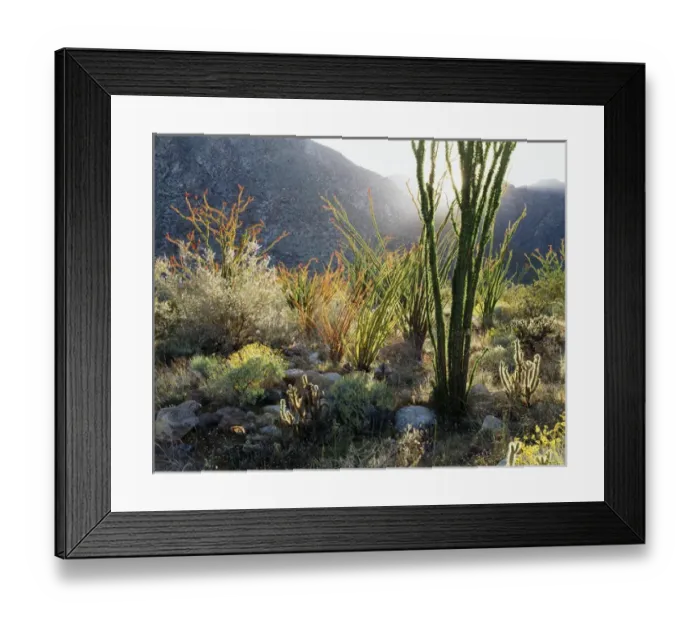 Framed Print : CTF-105. California, Anza Borrego Desert State Park