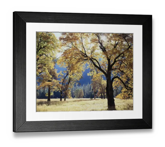 Framed Print : CTF-171. California, Sierra Nevada Mountains, Yosemite National Park