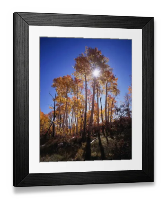 Framed Print : CTF-0670. California, Sierra Nevada Mountains Framed Print : CTF-0670. California, Sierra Nevada Mountains