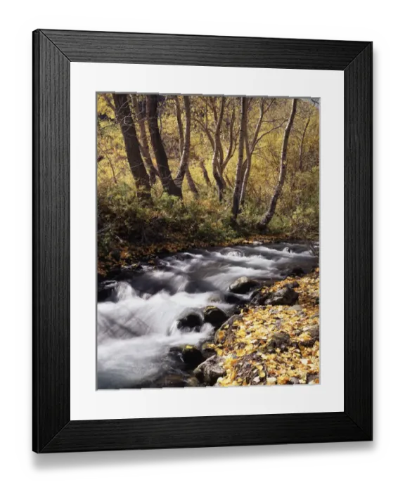 Framed Print : CTF-0936. California, Sierra Nevada Mountains Framed Print : CTF-0936. California, Sierra Nevada Mountains