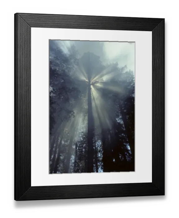 Framed Print : USA, California, Sun, Smoke, Forest Fire, Sequoia and Kings Canyon National Park Framed Print : USA, California, Sun, Smoke, Forest Fire, Sequoia and Kings Canyon National Park