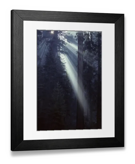 Framed Print : USA, California, Sun, Smoke, Forest Fire, Sequoia and Kings Canyon National Park