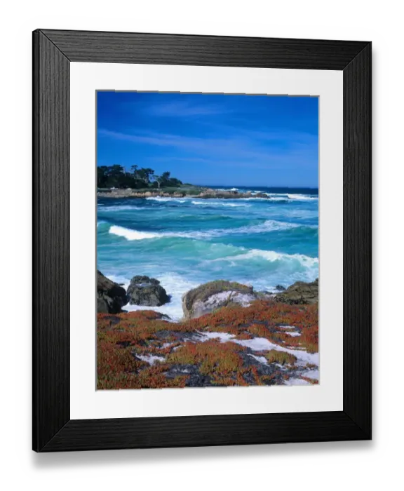 Framed Print : A stretch of beach along the famed Seventeen Mile Drive on Californias Monterey Peninsula Framed Print : A stretch of beach along the famed Seventeen Mile Drive on Californias Monterey Peninsula