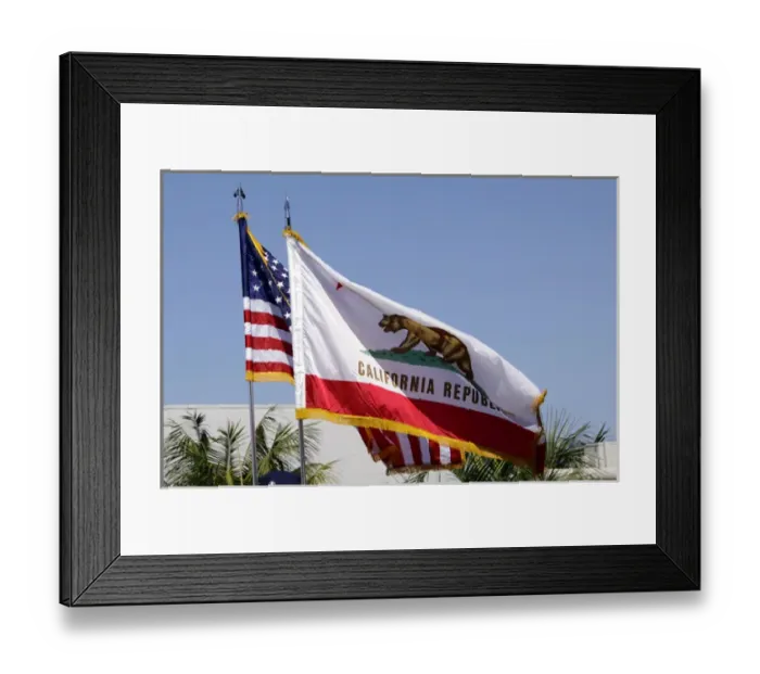 Framed Print : Cardiff by the Sea 100th Birthday Parade: California State Flag Framed Print : Cardiff by the Sea 100th Birthday Parade: California State Flag
